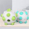 Pet Dog Interactive Chew Ball