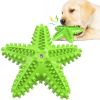 Sea Star Shaped Dog Toothbrush & Chew Toy