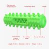 Molar Stick Toothbrush for Pet Dog