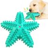 Sea Star Shaped Dog Toothbrush & Chew Toy