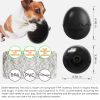 Dino Egg Slow Feeder Chew Toy