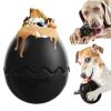 Dino Egg Slow Feeder Chew Toy