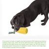 Corny Chew Toy - Many Varieties