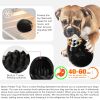 Dino Egg Slow Feeder Chew Toy