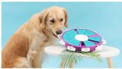 Dog Treat Puzzle Wheel